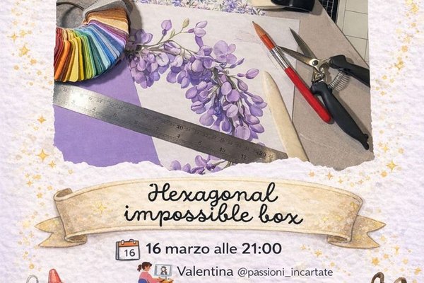 Hexagonal impossible box